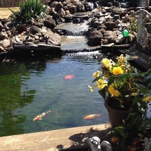 Meet your Posher, Linda